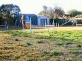 videos de Agility 1-7-09