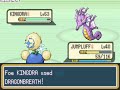Pokemon Shiny Gold gym leader 8 (plz read describtion)