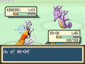 Pokemon Shiny Gold gym leader 8 (plz read describtion)