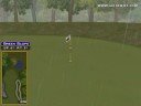 Golden Tee Great Shot on Sunny Wood!