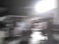 super pegue´s la abeja miope tecerca
