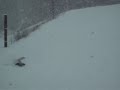 Joel face plant Joel face plant