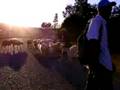 Young Herders in the Rif Mountains