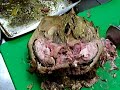 Lamb's Head 2: The Devouring