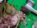 Lamb's Head 2: The Devouring
