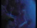 Moqui Marbles - Der Springende Punkt (Live in Bremen)
