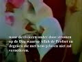 Sheikh Sudais 1990 Het Verbieden NL ONDERTITELING Sheikh Sudais 1990 Het Verbieden NL ONDERTITELING