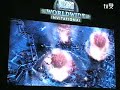 starcraft2 play game starcraft2 play game