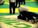 Roger Gracie HL