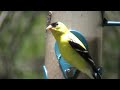 MOV057g