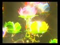 Guan shi yin pusa