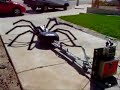 Spider Wiper
