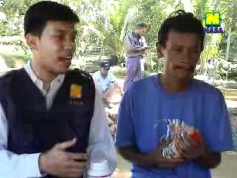Teknis Budidaya Ikan Mas Call Sms Teknis Budidaya Ikan Mas Call Sms