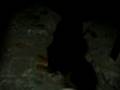 videos de Dana, la destructora