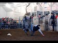Bull Riding