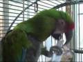 videos de 