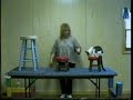 Cat Clicker Training In Action