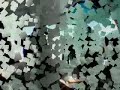 the most extreme   vol 1