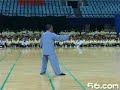 Hunyuan Taijiquan 24 Shi Hunyuan Taijiquan 24 Shi