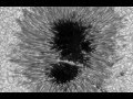 Ever Seen a Tsunami on the Sun? Or active sunspot?