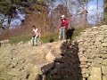 Faceplant