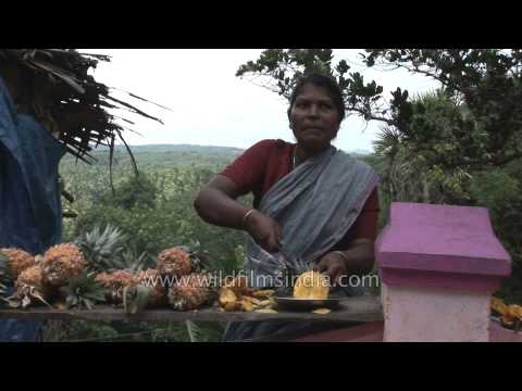 how to cut a pineapple to plant
