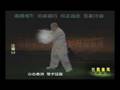 Instruction of LaoLiuLu (2) ：Demo by Master Wei ShuRen