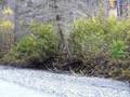 Ride through the Eagle Preserve