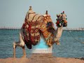holiday village red sea