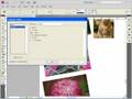 videos de Preflight i InDesign CS4