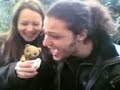 febo � bello come il sole
