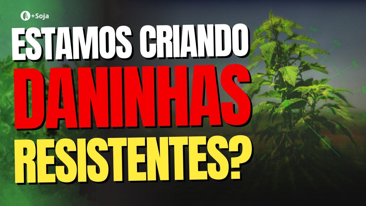 Por que o controle de BUVA e CAPIM AMARGOSO está cada vez Mais Difícil?