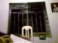 CS-Falcão Falsificado