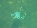 chasse sous marine ile de r�