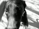 siempre-kontigo-calcetines.html
