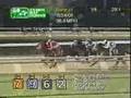 10 and 10 Horse Race (race seven)