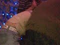 kerstboom 4 @ \ kerstboom 4 @ \