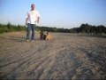 Spass oder Training