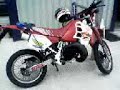 beeston wheelie knockout video