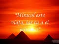 Oare visez?