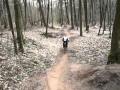 Video ansehen