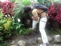 El ataque del mapache