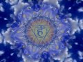 285 HZ - Quantum Cognition
