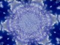 285 hz - quantum cognition