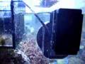 Tank Wave WITHOUT using a wavebox!
