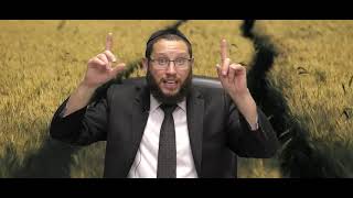 הרב אייל אונגר – פרשת פינחס – אהבת האמת; שנאת האדישות