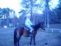 Riding Lady In The Arena