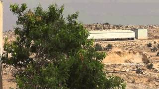 عمر فطافطة - قرية البرج. عمر فطافطة - قرية البرج.