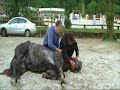 danse-avec-lui-remix.html