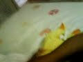 MI BEBE--ANGELITO